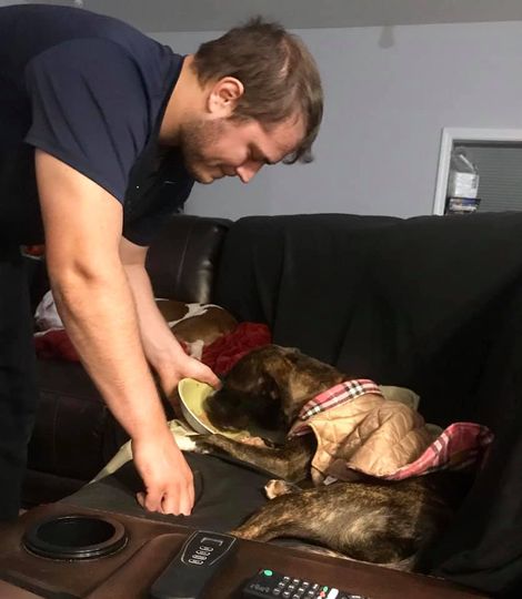 Pitbull Loves Eating And Helping Mom In Any Way Possible