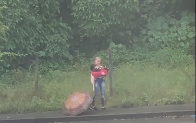 Young Girl Saves Injured Stray Dog On Her Way Home From School