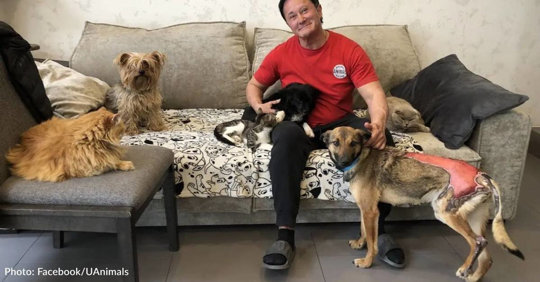 World's Strongest Woman Stays In Ukraine To Help Injured And Abandoned Pets