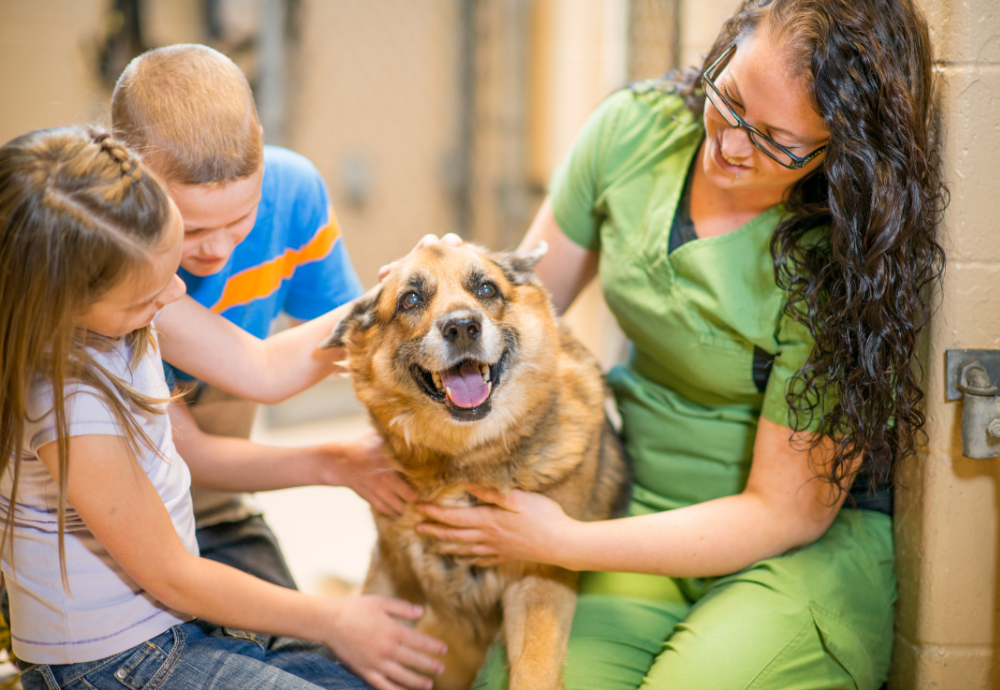 The Moment a Shelter Dog Knows They Are Loved: A Transformation You’ll Never Forget