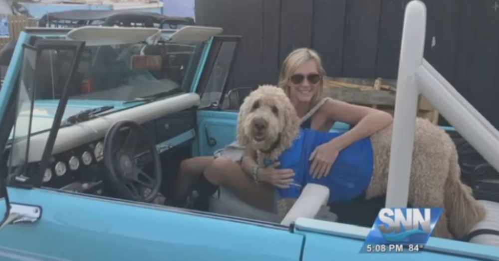 Dog And Woman With Cancer Go Through Chemotherapy Together