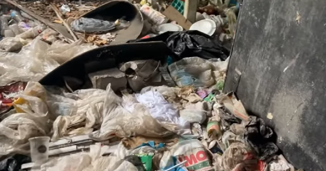Mother Dog And Her Puppies Rescued From Filthy House