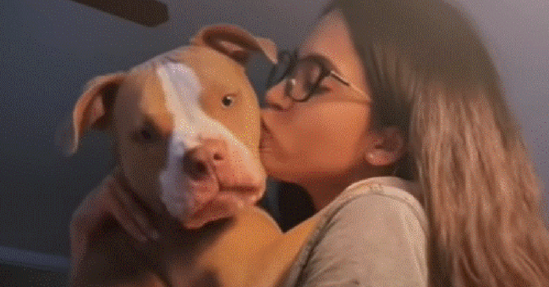 Woman Moved Out Of Apartment When Landlord Discriminated Against Her Pitbull