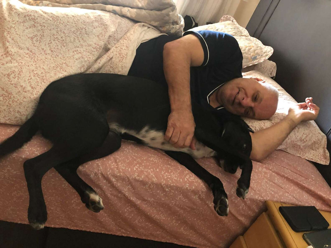 This Dad And His Dog Adorable Nighttime Routine Is Melting Hearts