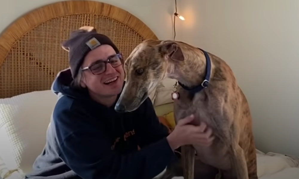 Racer Dog Given Another Chance At Happiness!