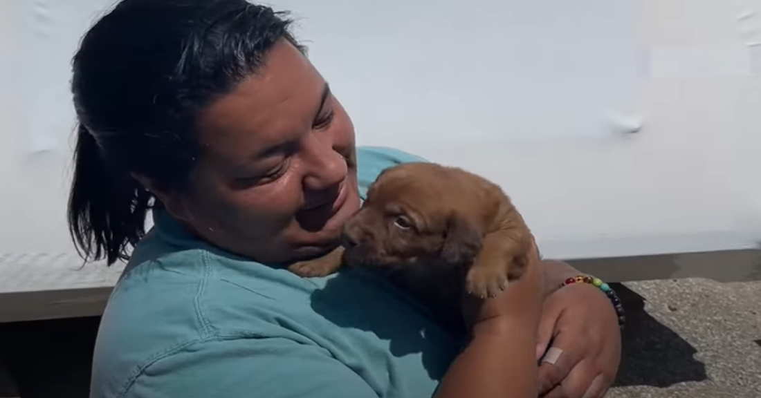 Mama Dog And Her Puppies Rescued From A Dumping Site