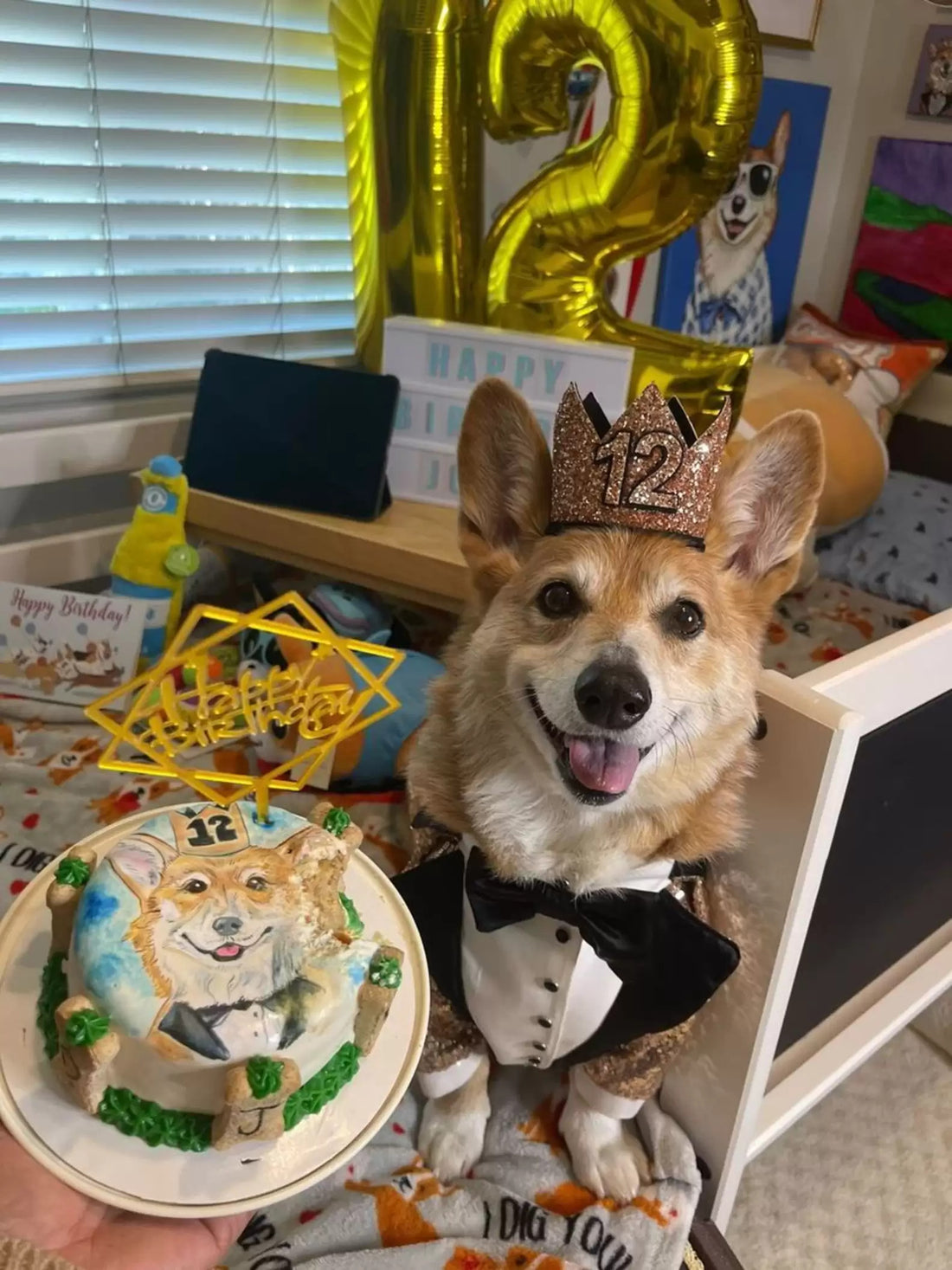 Mom Makes Room To Celebrate Her Corgis