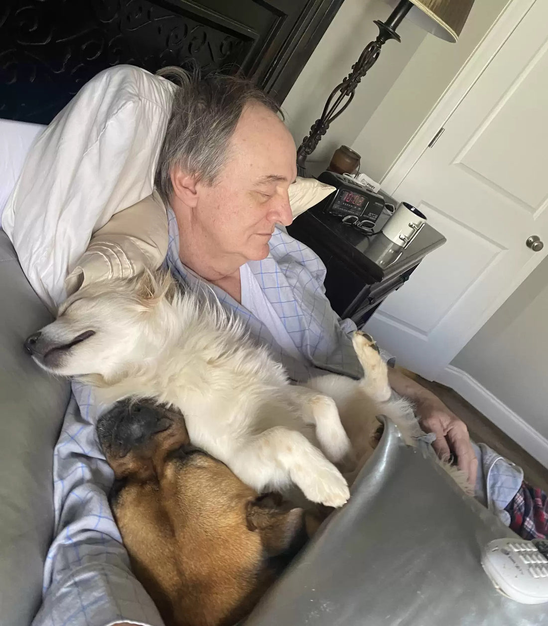 A Woman Finds Her Dad Taking A Nap With Every Dog From The Neighborhood!