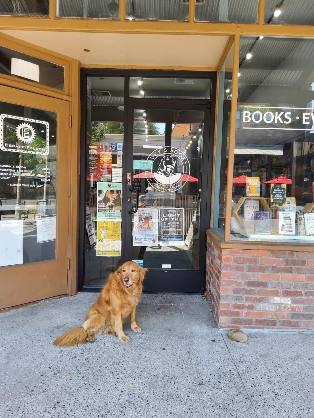 A Bookshop Is Named After A Dog Who Become Its Manager!