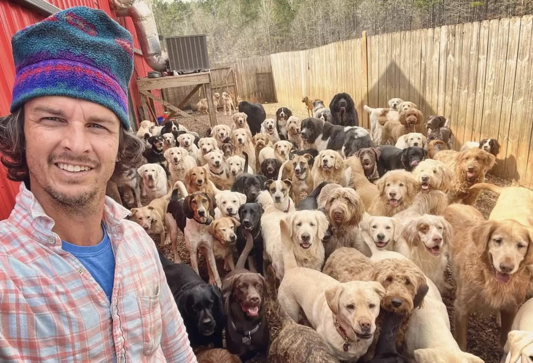 Adorable Dog Video Goes Hilariously Wrong At Day Care!