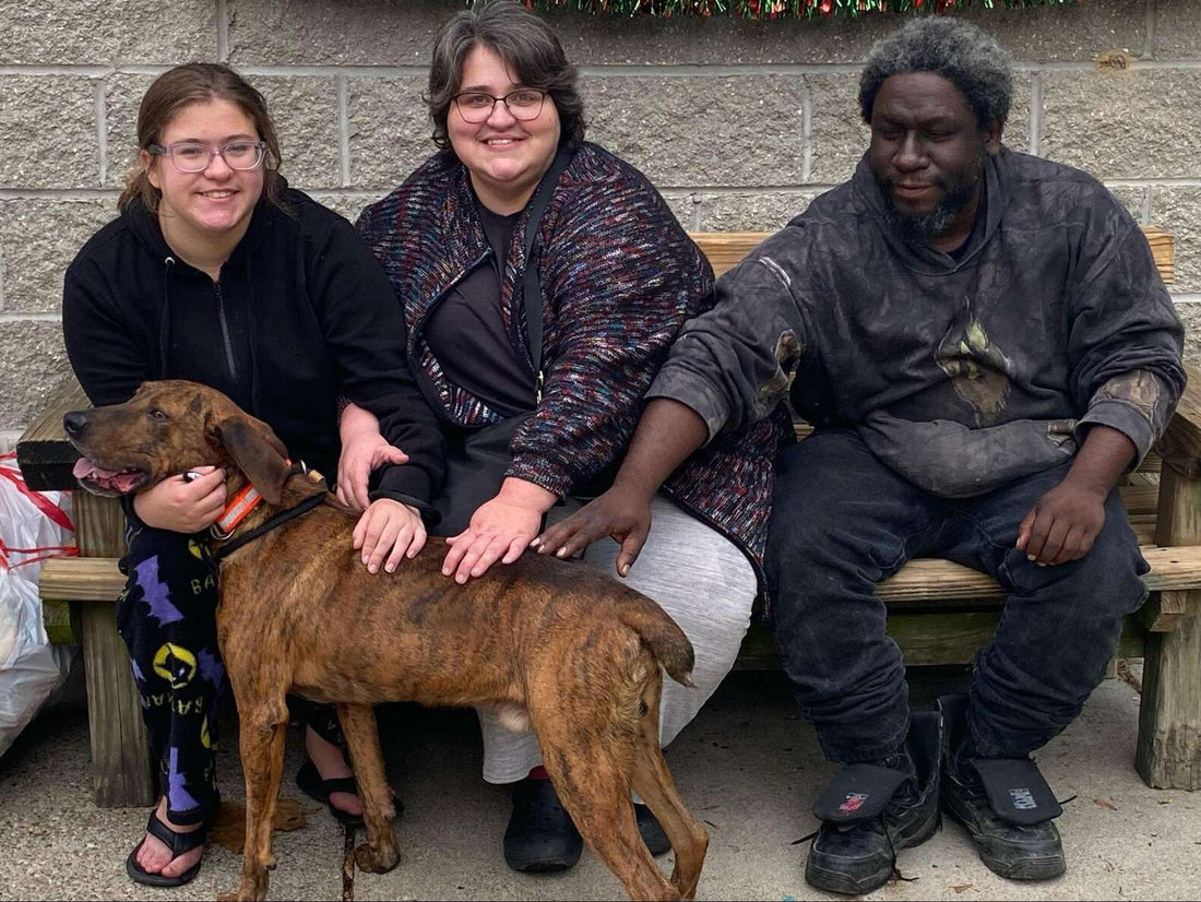 Hero Shelter Dog Rushes To Help Girl Having An Anxiety Attack