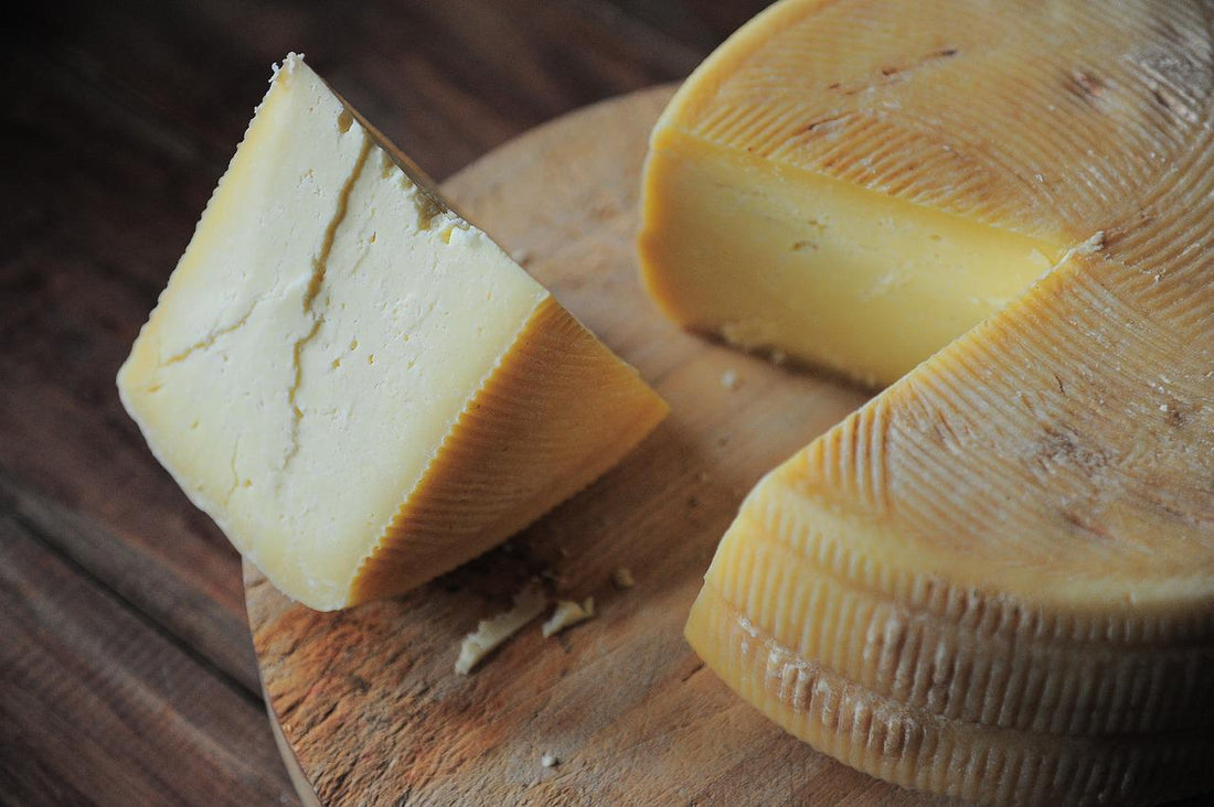 How Safe Is It To Feed Your Dog Cheese?