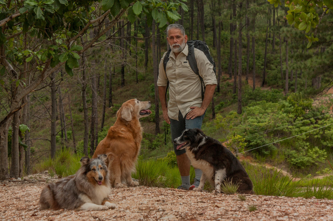 4 Training Your Dog Needs To Hike With You