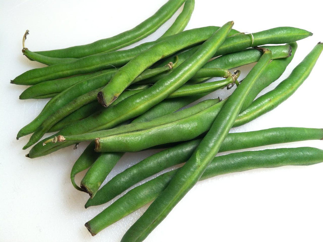 Is It Safe For Dogs To Beans?