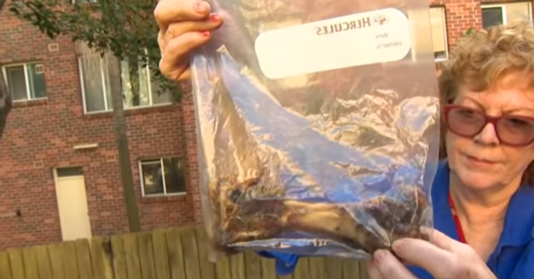 Woman Finds Poisoned Bone And A Horrifying Note Intended For Her Dog
