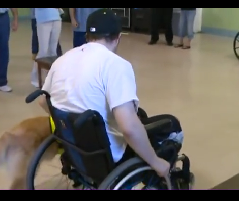 The First Time He Laid His Eyes On His Golden Retriever Pup...Too Emotional