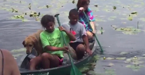 Overly Excited Pup Can't Wait To Get On Shore - Tips the Entire Canoe Over!