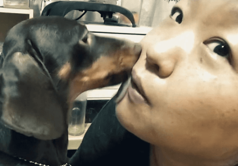 The Love Pups Have For Their Parents Is Immeasurable! Take A Look At This Cuteness!