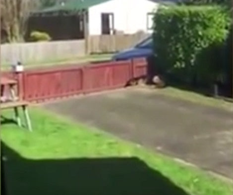 The Mailman Is About To Deliver His Letters, But What The Secret Cam Captures? OMG.
