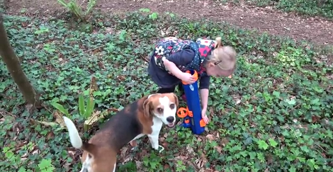 This Adorable Pup Got The Bestest Surprise Ever - A Nerf Gun! Watch Him Play!