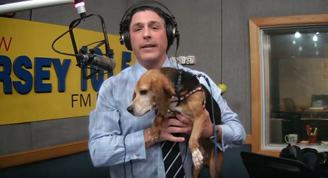 This Adorable Pup Is Looking For His Forever Loving Home. Can You Help?
