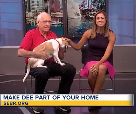 This Adorable Pup Is Looking For Her Forever Loving Home - Let's Help Her Find One!