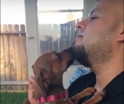 How This Pup Shows Her Appreciation To Her Foster Dad Will Warm Your Heart!