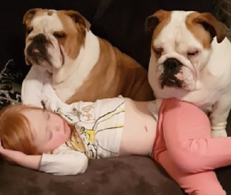 Watch How These Adorable Pups Watch Over Their Sleeping Sister!