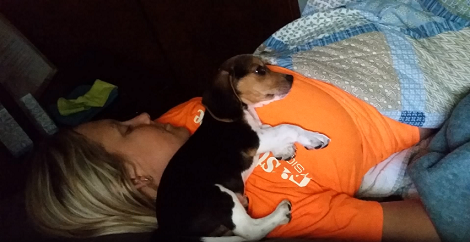If There's One Thing This Pup Absolutely Loves... It's To Cuddle With Everyone!