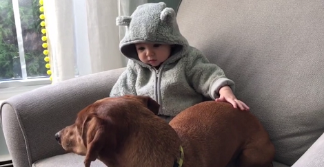 Baby Has A Cold, But Nothing Can Stop This Pup From Spending Time With Him!