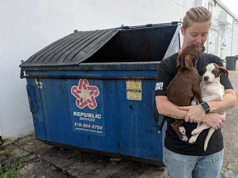 Heroes Come To Rescue Heartbroken Pups Abandoned In A Dumpster