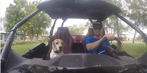 This Pup Has Taken 'Enjoying Outdoors' To A Whole New Level By Riding A Bike!