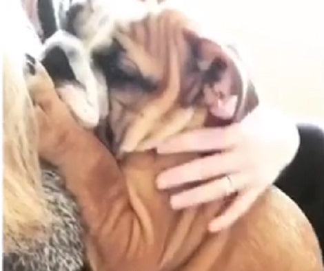 This Adorable Pup Absolutely Loves To Be Cuddled! Aww!!