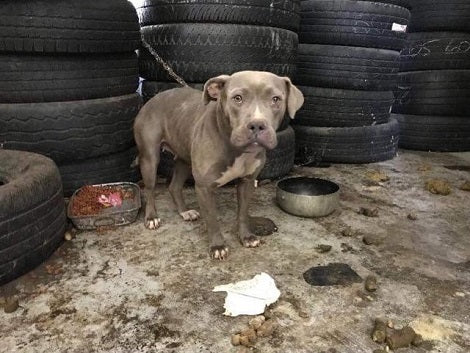 Realtor Finds A Heartbreaking Scene At An Abandoned Tire Shop
