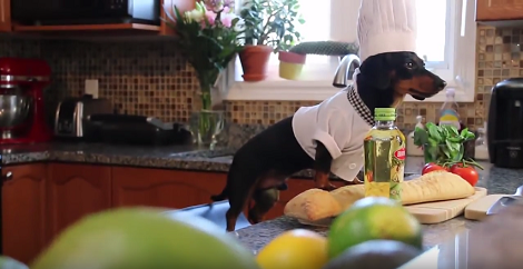 You've Got To See This Adorable Chef Doing His Business On TV!