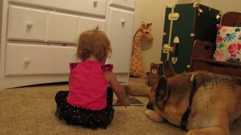 Adorable Pup Was Just Chilling Around, When Suddenly He Heard Growling!