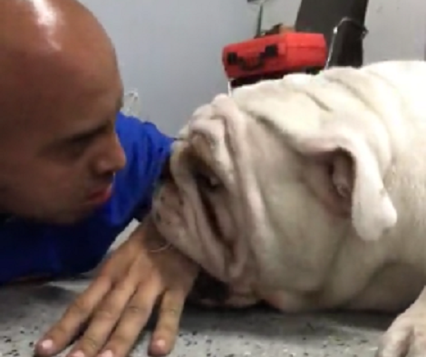 How This 'Vicious' Pup Attacks His Daddy Is Going To Make You Smile!
