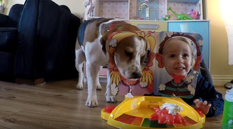 This Pup And His Sister Love Playing Whipped Cream Splat Game!