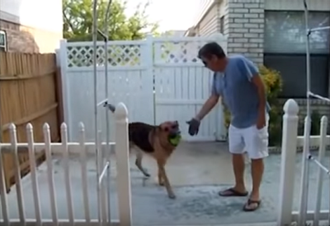This Pup Is About To Get The Biggest Surprise Of His Life And You'll Love It Too!