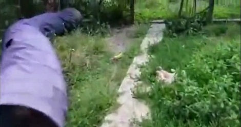 They Placed A Purple Tunnel In Their Backyard. Now Watch Who Pops Out! Aww!