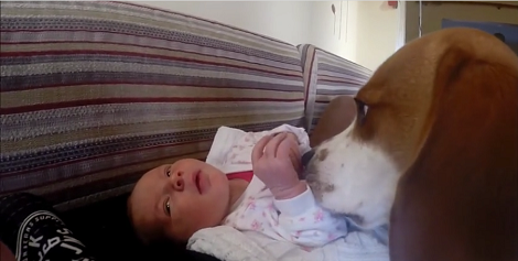 How They Introduced Their Baby To Their Loving Pup Will Make You Smile!