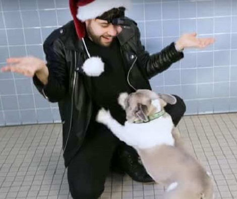This Magician's Show At The Shelter Records The Most Hilarious Reactions From Shelter Pups!