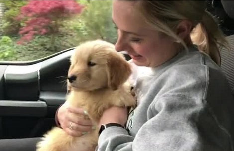 This Adorable Pup's First Car Ride Will Bring Back So Many Memories!