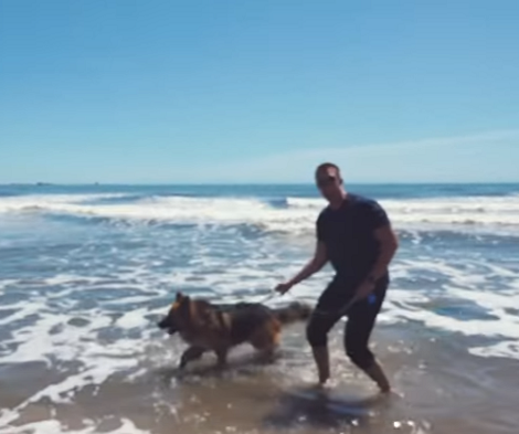 Rescued Pup Cries Like A Human After Seeing The Ocean For The First Time