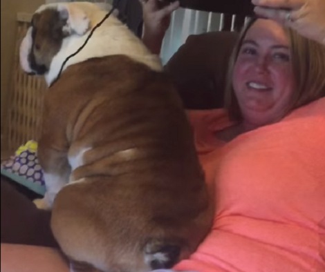 She Was Working On Her Laptop When Suddenly Her English Bulldog Did THIS!