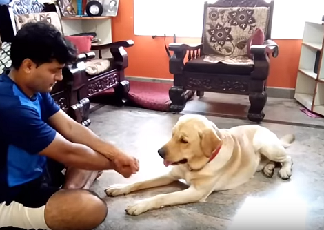 Watch How This Adorable Pup Learns Tricks From His Daddy!