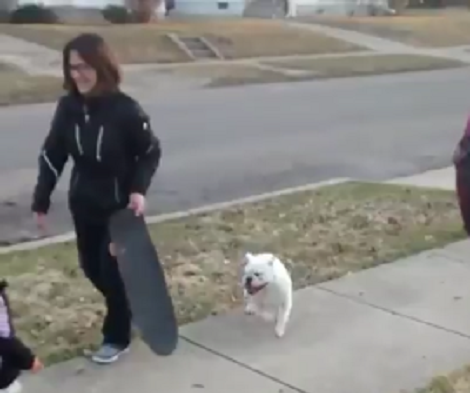 This Pup's Learning How To Use The Skateboard, And The Struggle Is Real, But Fun!