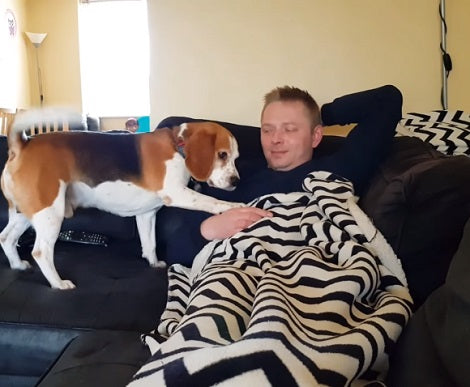 Watch How This Adorable Pup Demands Attention And Petting! This Is Hilarious!