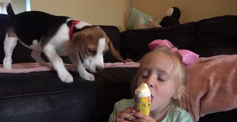 Adorable Puppy Tastes Ice Cream For The First Time And His Reaction Is Epic!