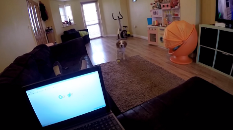 This Pup Doesn't Like To Be Ignored. Watch How He Makes It Clear!